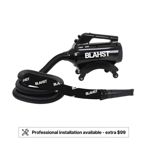 BLAHST Air Maxx Blower Dryer