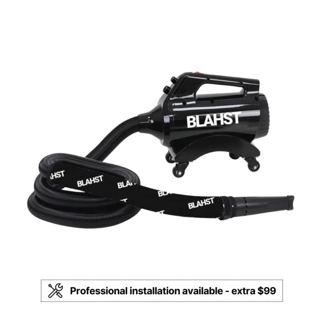 BLAHST Air Maxx Blower Dryer