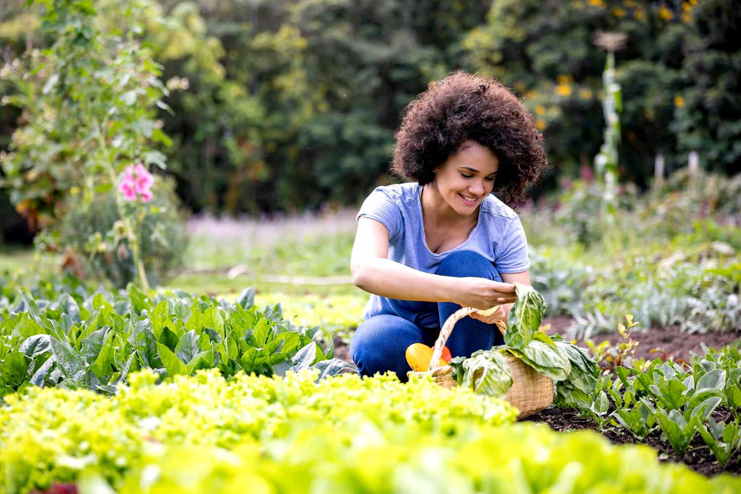 people who garden sleep better woman gardening GettyImages 1400534581 8feda46a9e9749fb8aa2939784002341