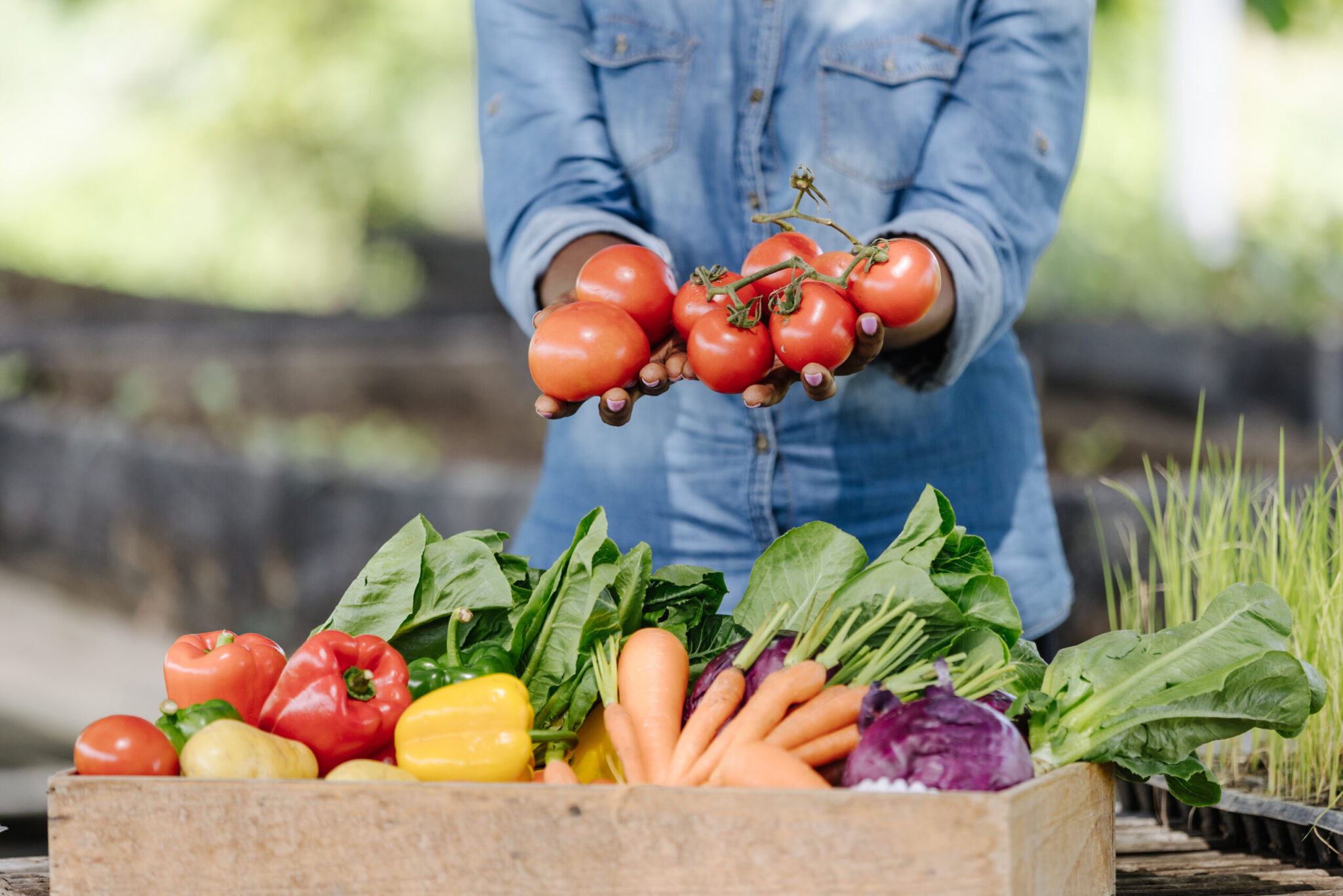 growing your own food scaled 1