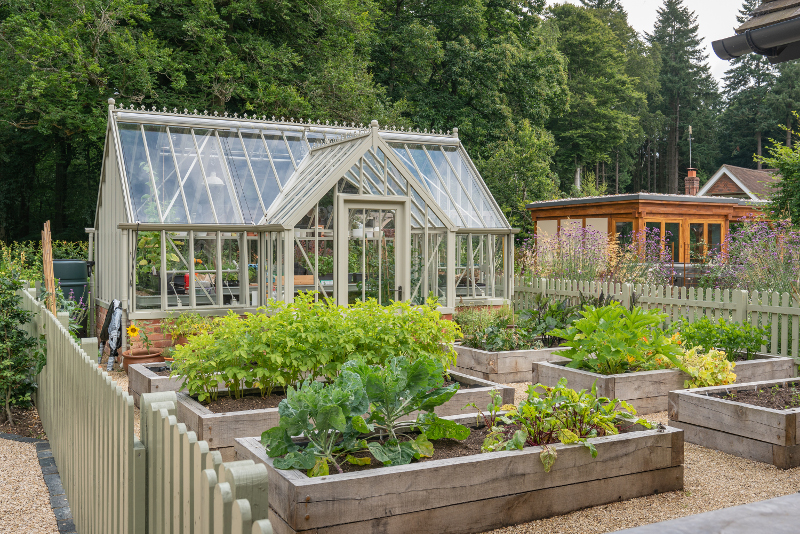 Vegetable patch with greenhouse 800
