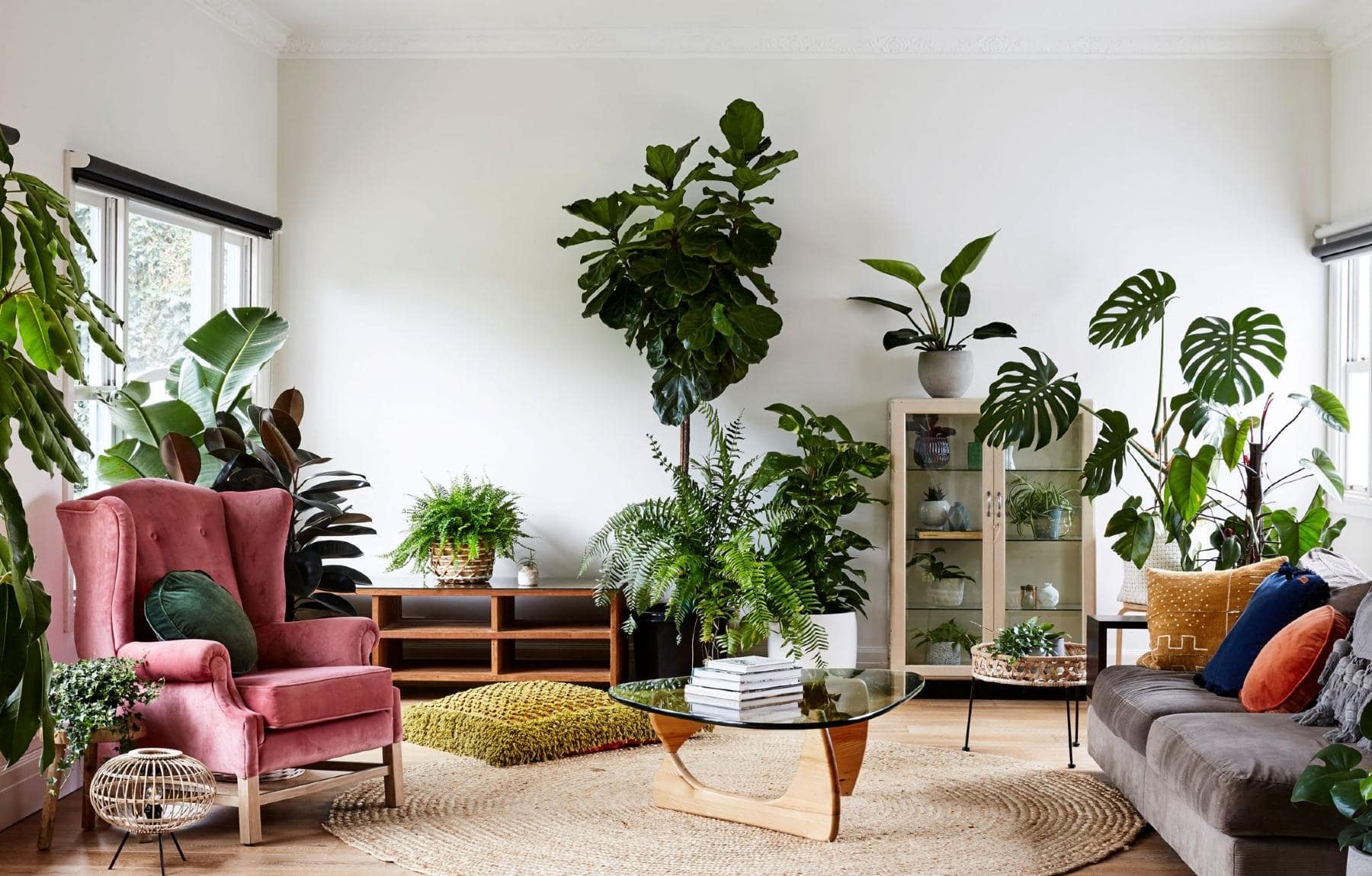 decorating a living room with plants everywhere